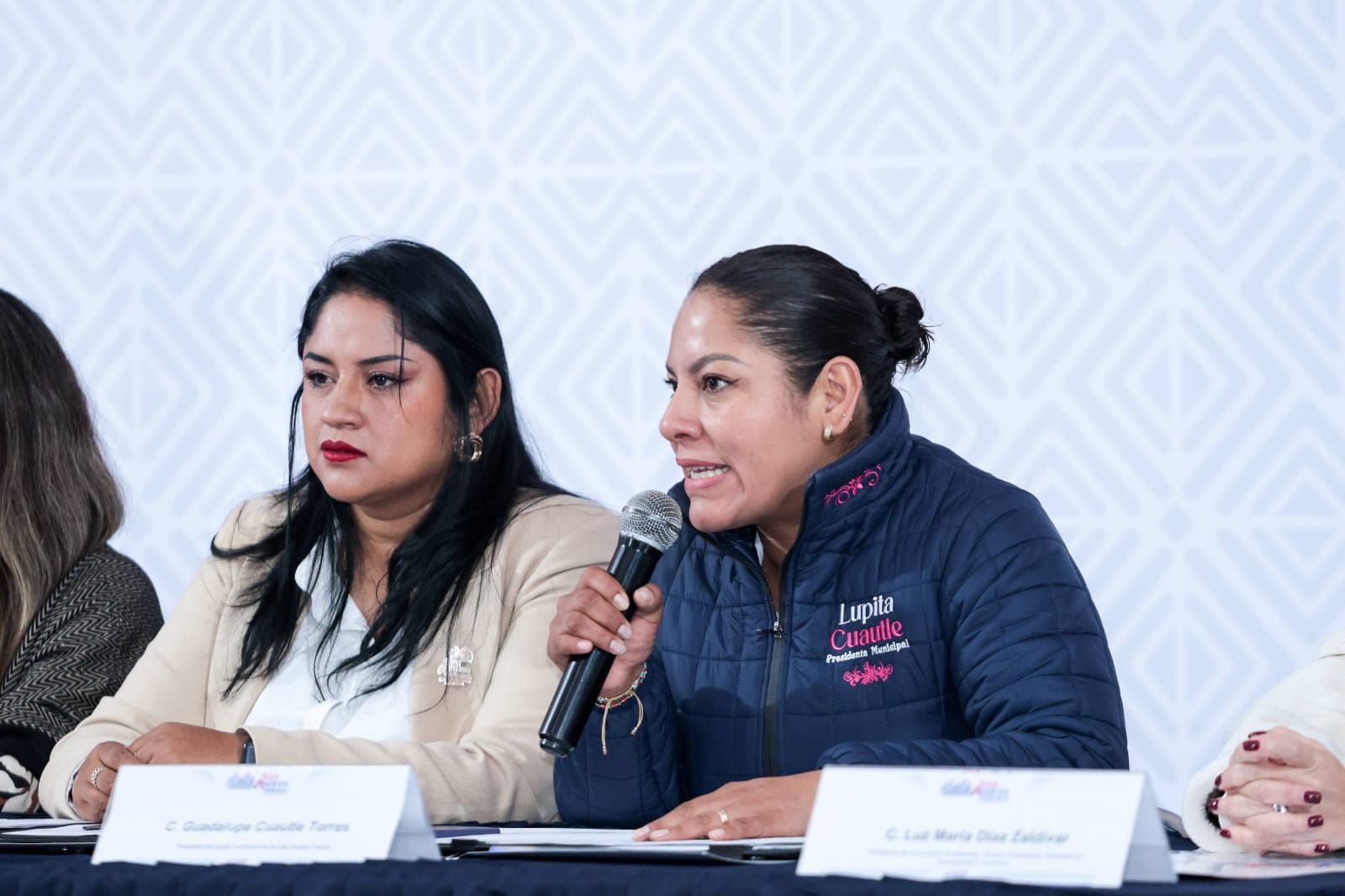 Pobrones Lupita Cuautle presenta Agenda 2026 con aumento de padrones en ...